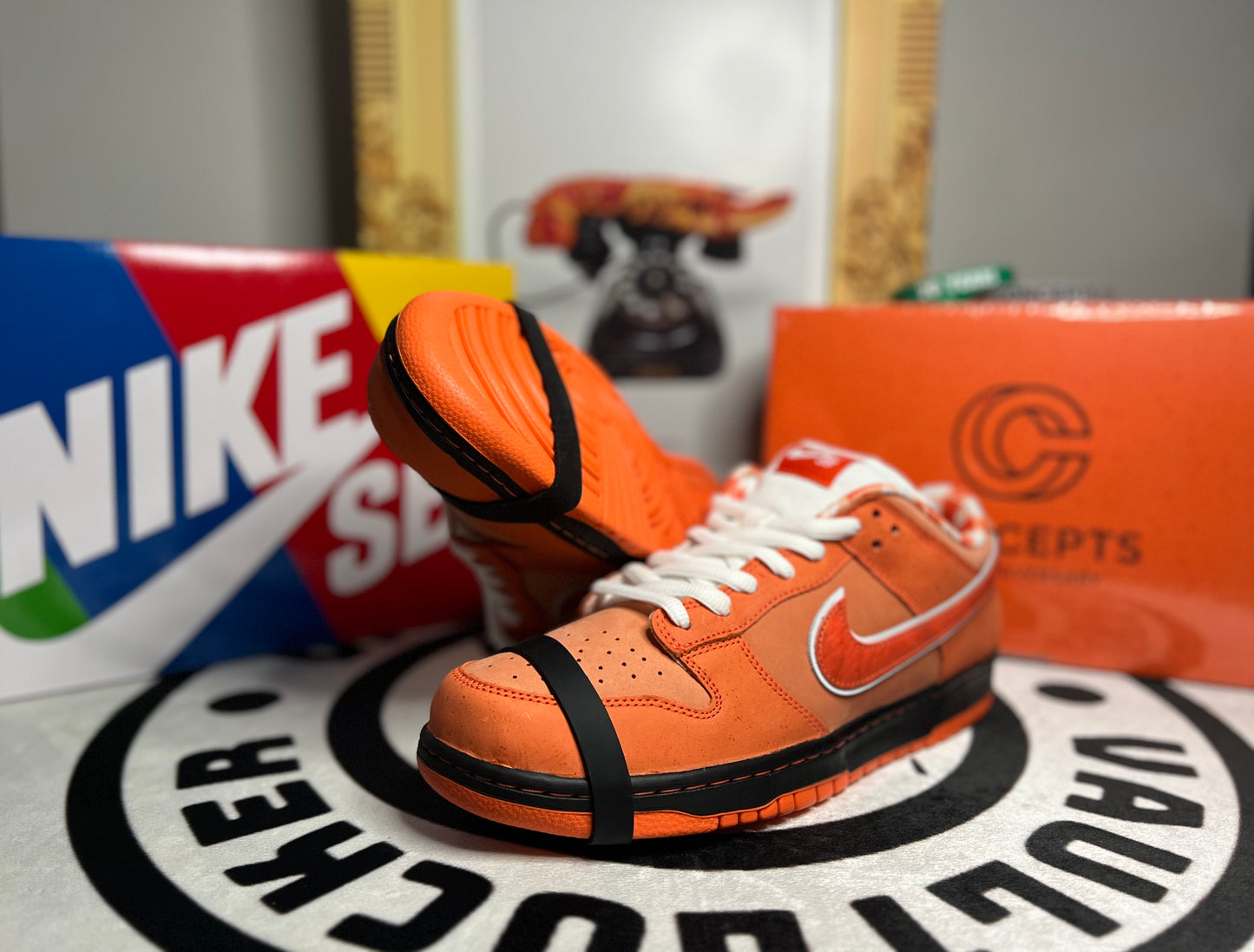 Nike SB Dunk Low "Concepts Orange Lobster" (Special Box)